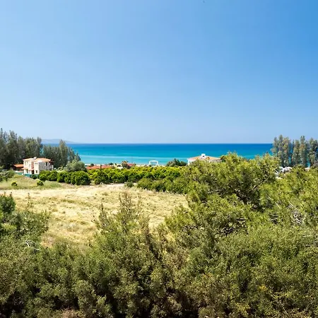 339 Αργάκα